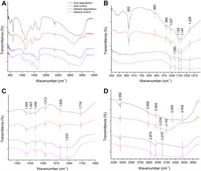 Acidic Versus Alkaline Bacterial Degradation of Lignin Through Engineered Strain E. coli BL21(Lacc): Exploring the Differences in Chemical Structure, Morphology, and Degradation Products